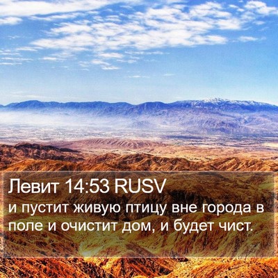 Левит 14:53 RUSV Bible Verse Image
