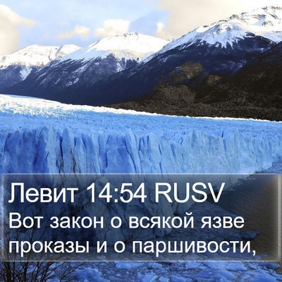 Левит 14:54 RUSV Bible Verse Image