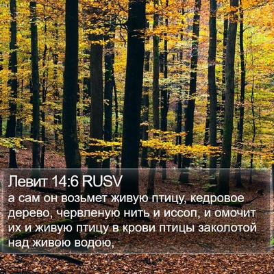 Левит 14:6 RUSV Bible Verse Image