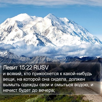 Левит 15:22 RUSV Bible Verse Image