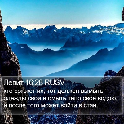 Левит 16:28 RUSV Bible Verse Image