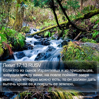 Левит 17:13 RUSV Bible Verse Image