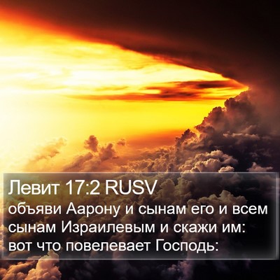 Левит 17:2 RUSV Bible Verse Image
