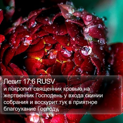 Левит 17:6 RUSV Bible Verse Image