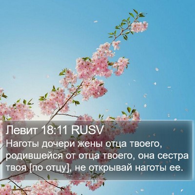 Левит 18:11 RUSV Bible Verse Image
