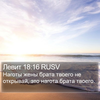 Левит 18:16 RUSV Bible Verse Image