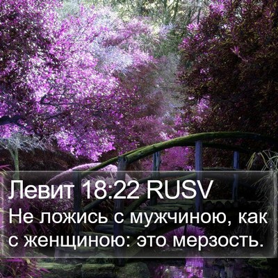 Левит 18:22 RUSV Bible Verse Image