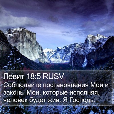 Левит 18:5 RUSV Bible Verse Image