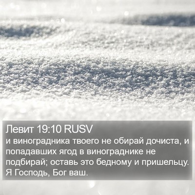 Левит 19:10 RUSV Bible Verse Image