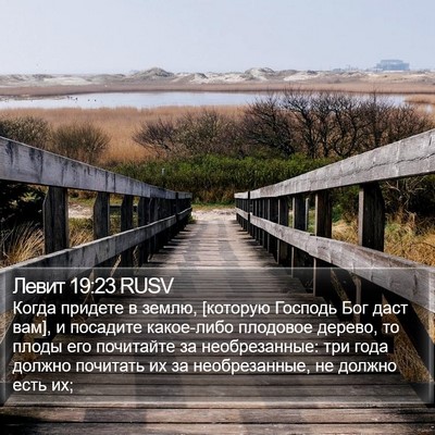 Левит 19:23 RUSV Bible Verse Image