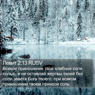 Левит 2:13 RUSV Bible Verse Image