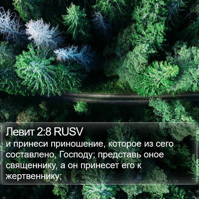 Левит 2:8 RUSV Bible Verse Image