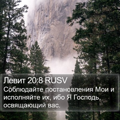 Левит 20:8 RUSV Bible Verse Image