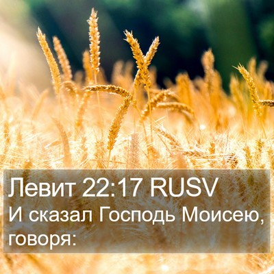 Левит 22:17 RUSV Bible Verse Image