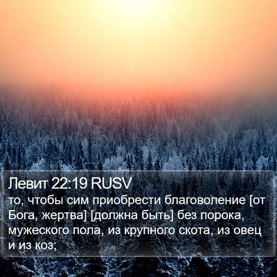 Левит 22:19 RUSV Bible Verse Image