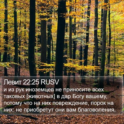 Левит 22:25 RUSV Bible Verse Image