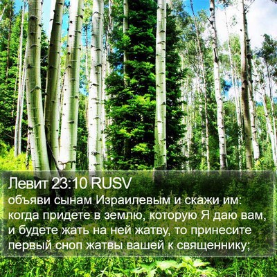 Левит 23:10 RUSV Bible Verse Image