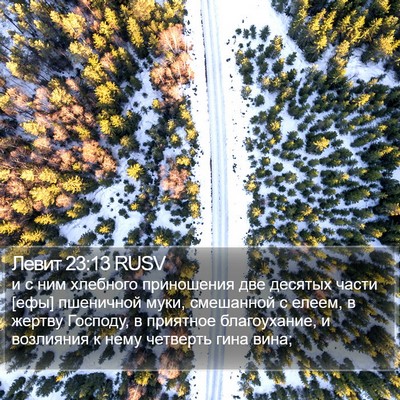 Левит 23:13 RUSV Bible Verse Image