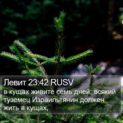 Левит 23:42 RUSV Bible Verse Image