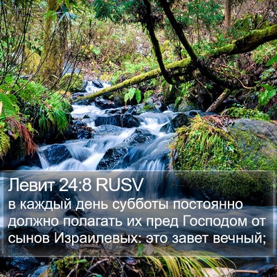 Левит 24:8 RUSV Bible Verse Image