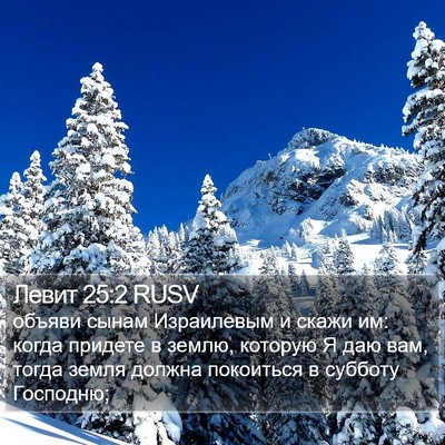 Левит 25:2 RUSV Bible Verse Image