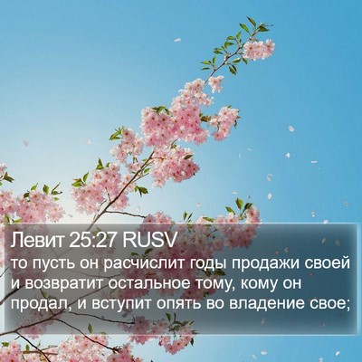Левит 25:27 RUSV Bible Verse Image