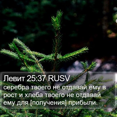 Левит 25:37 RUSV Bible Verse Image