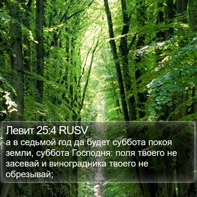 Левит 25:4 RUSV Bible Verse Image