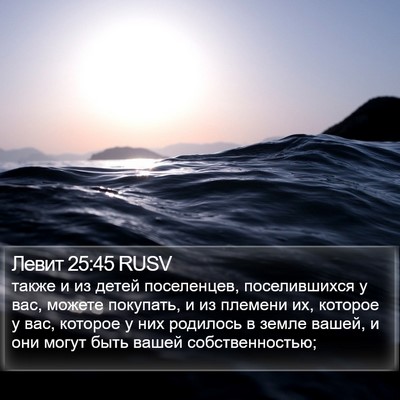 Левит 25:45 RUSV Bible Verse Image