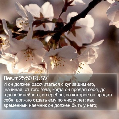 Левит 25:50 RUSV Bible Verse Image