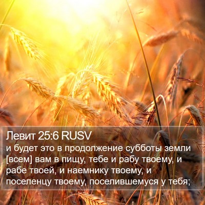 Левит 25:6 RUSV Bible Verse Image