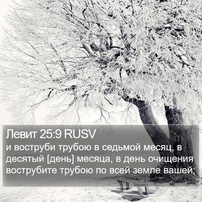 Левит 25:9 RUSV Bible Verse Image