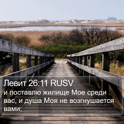 Левит 26:11 RUSV Bible Verse Image