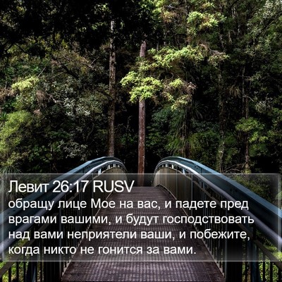 Левит 26:17 RUSV Bible Verse Image