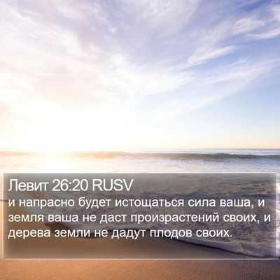 Левит 26:20 RUSV Bible Verse Image