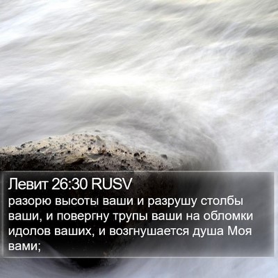 Левит 26:30 RUSV Bible Verse Image