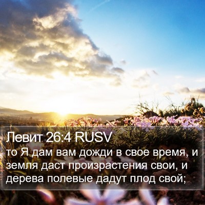 Левит 26:4 RUSV Bible Verse Image