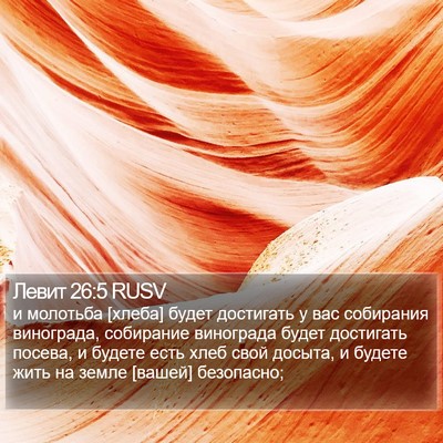Левит 26:5 RUSV Bible Verse Image