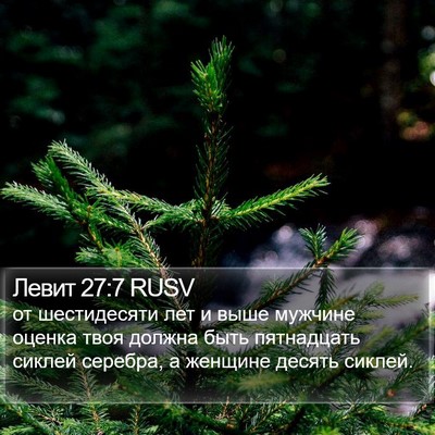 Левит 27:7 RUSV Bible Verse Image