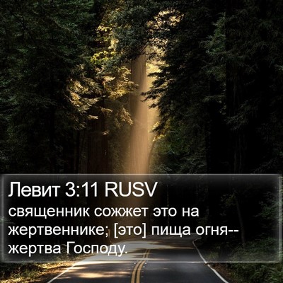 Левит 3:11 RUSV Bible Verse Image