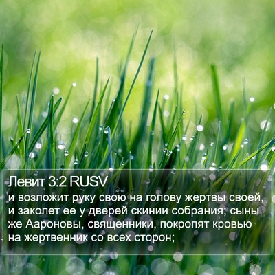 Левит 3:2 RUSV Bible Verse Image
