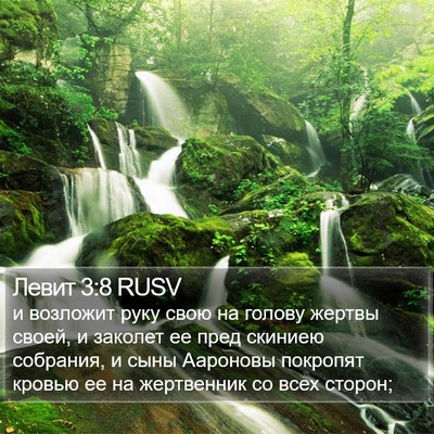 Левит 3:8 RUSV Bible Verse Image