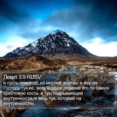 Левит 3:9 RUSV Bible Verse Image