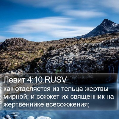 Левит 4:10 RUSV Bible Verse Image