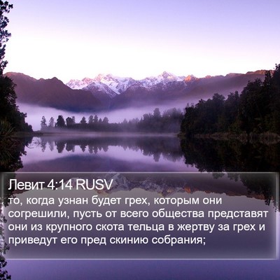 Левит 4:14 RUSV Bible Verse Image
