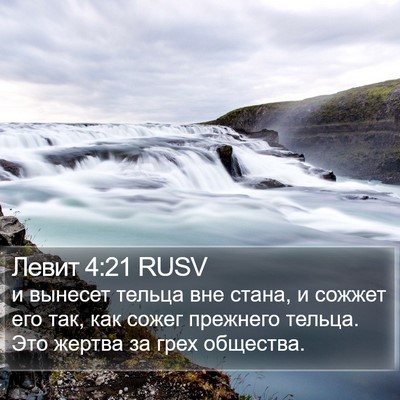 Левит 4:21 RUSV Bible Verse Image