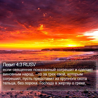 Левит 4:3 RUSV Bible Verse Image