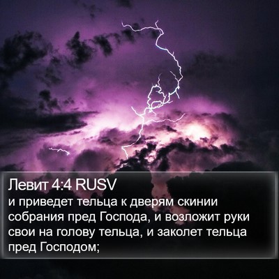 Левит 4:4 RUSV Bible Verse Image