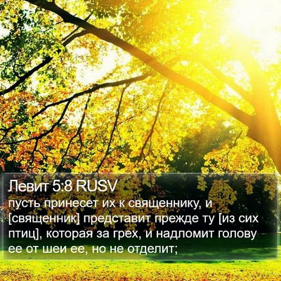 Левит 5:8 RUSV Bible Verse Image