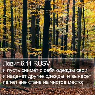 Левит 6:11 RUSV Bible Verse Image